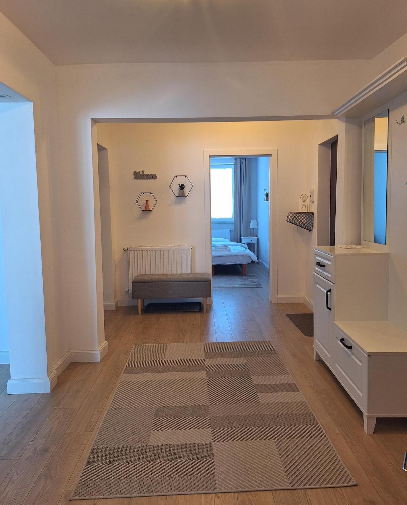 Apartament Central Vişeu de Sus 外观 照片